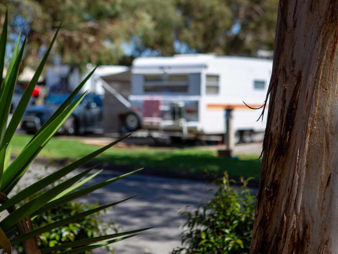 Echo Holiday Parks - Windsor Gardens Adelaide Esterno foto